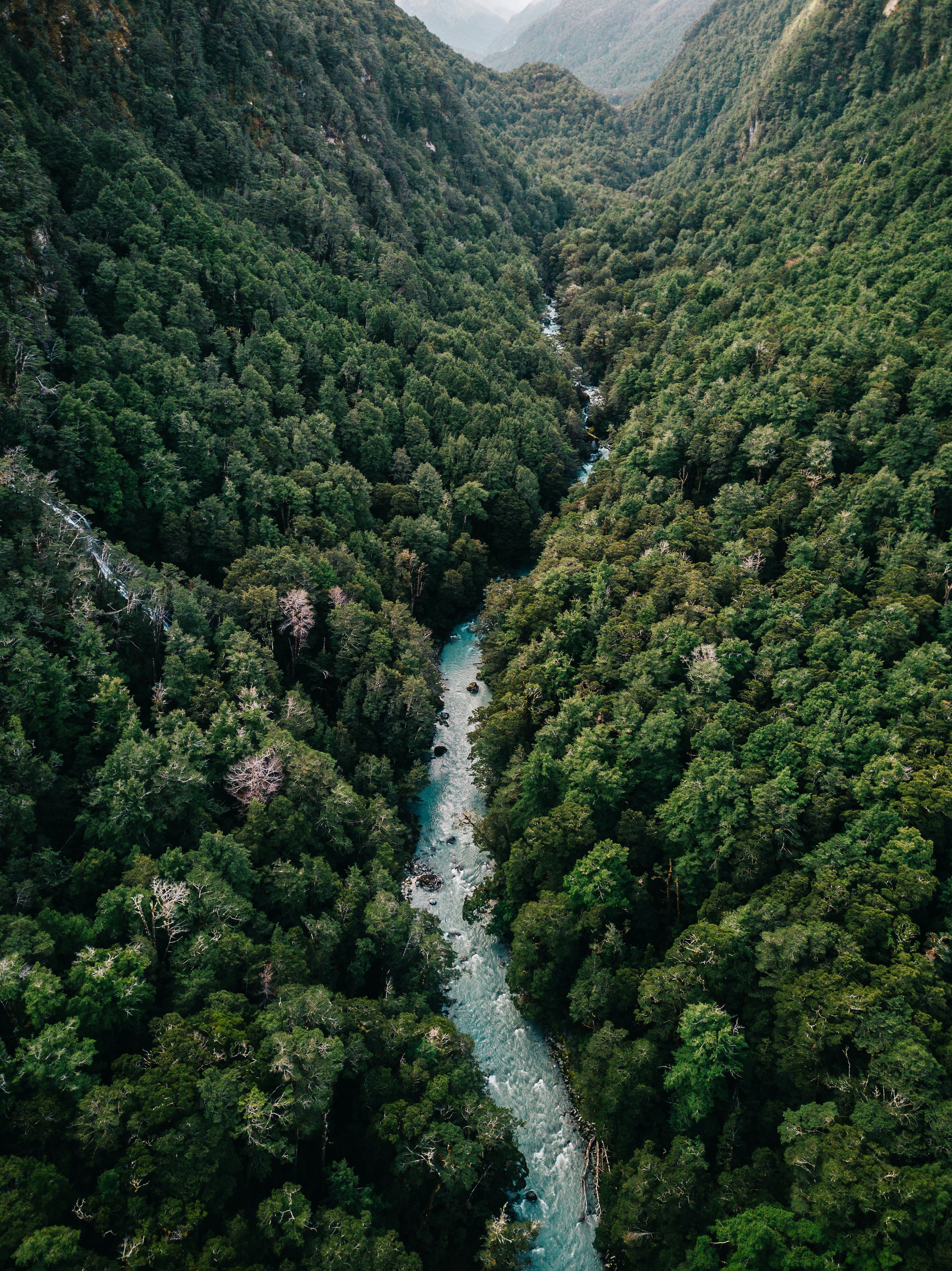 mountain valley filled with trees with a river flowing through it with strong current